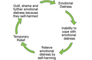 neuroscience behind self injury