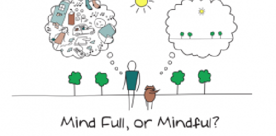what is mindfullness
