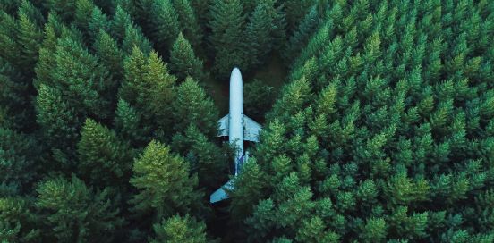 airplane in a forest