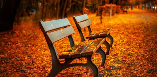 Benches in the Fall