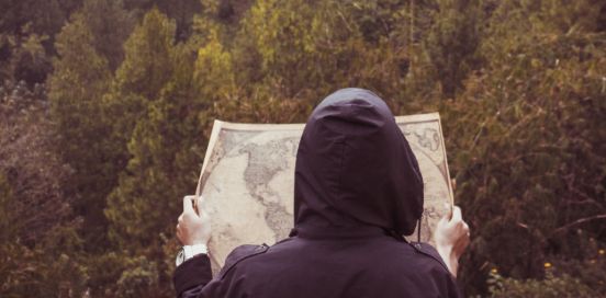 person looking at a map