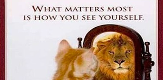 kitten looking in a mirror to see a lion