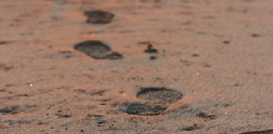 footprints in the sand