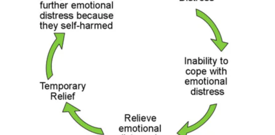 neuroscience behind self injury