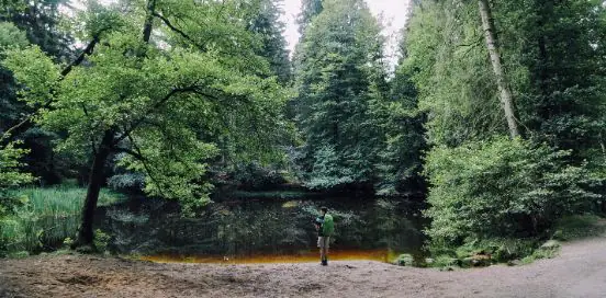 man hiking in the woods by a lake