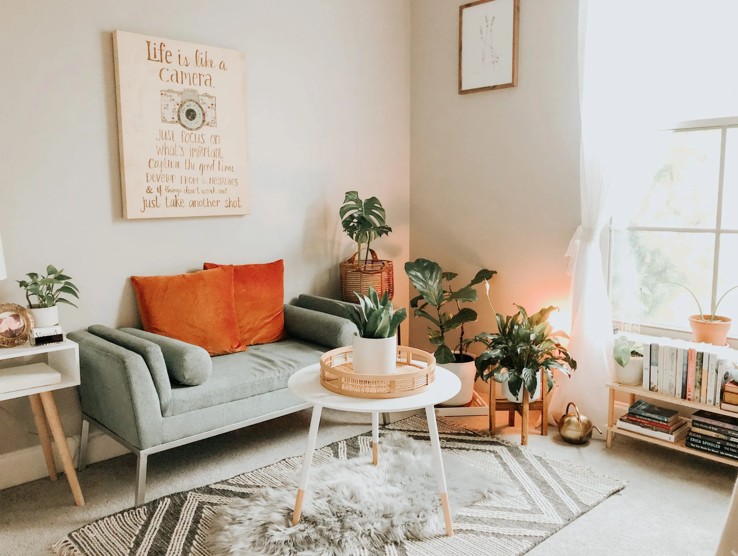 indoor plants