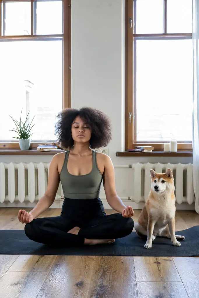 ease your anxiety